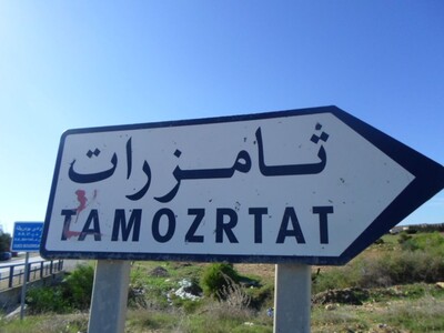 field 2-hectare tamozrtat kelibia ref T