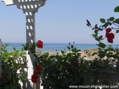 Appartement Max cc Sidi Mahersi