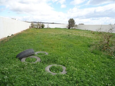 field oasis South Hammamet