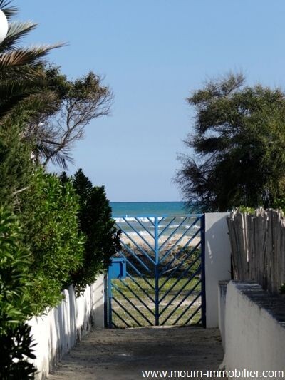 Dar joys has North hammamet