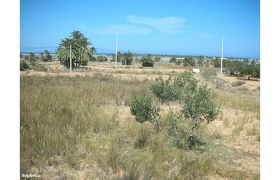 Terrain titré la lagune Djerba Midoun