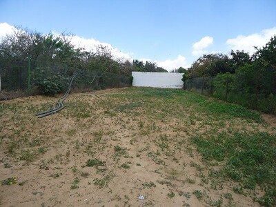 field grenadine 1 hammamet