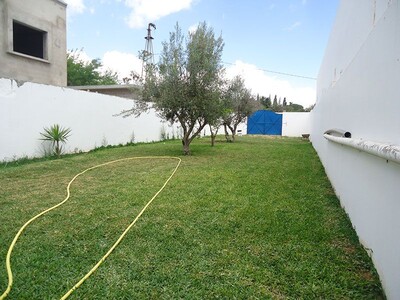 grenadine field 2 Hammamet