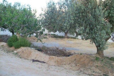 Terrain a batir hammamet+