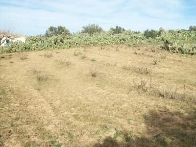 terrain agricole 3000m2 +