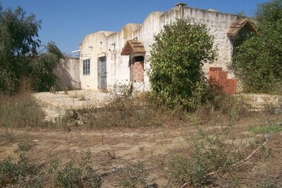 1.5 hectare de terrain+