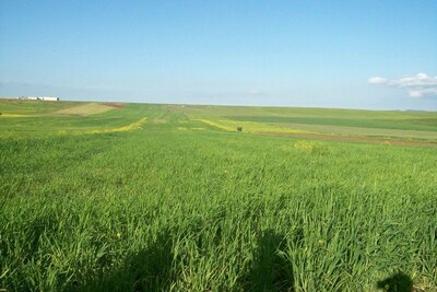 Terrain de 2h 7500m²+++