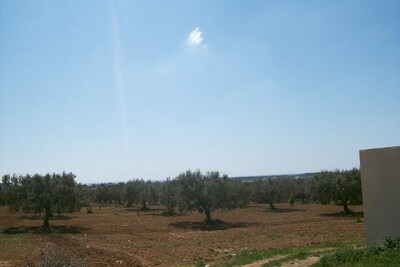 Terrain agricole  5000m²+