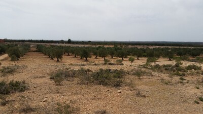 Terrain agricole entre Kalaa Sghira Ennagr