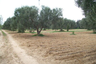 Terrain a 5 km de yasmine hammamet+