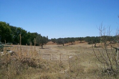 terrain agricole de 5000m2