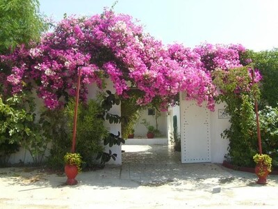 villa à la compagne de hamammet dans un endroit calme