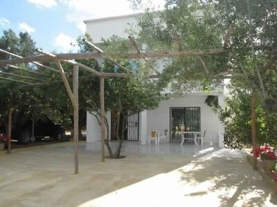 villa les citronniers à hammamet