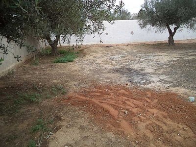 FIELD CODE South hammamet