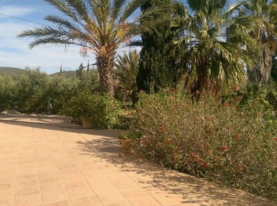 vente Ferme Garci Mornag