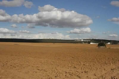 un terrain agricole pas loin de yasmin hamamet