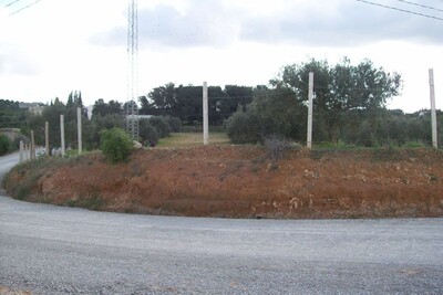 Terrain situé à 6km d’Hammamet en hauteur dans une belle vue panoramique