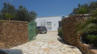 Two beautiful villas in the countryside of Hammamet kt