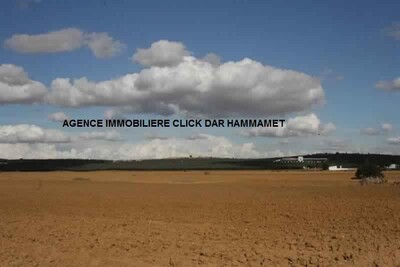 occation en or a hammamet 5 km de jinen