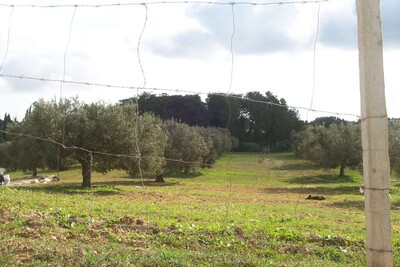 Terrain agricole  de 5000m²-