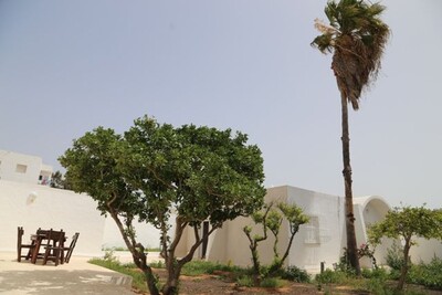 Maison LES PINS  Hammamet REF