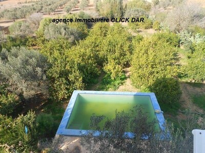 villa citronniers à la compagne de hamt