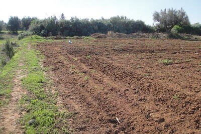 Terrain agricole Terrain agricole d'une superficie totale de 8ha