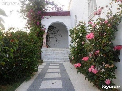 large villa in HAmmamet