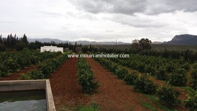 Farm Mornag Ben Arous