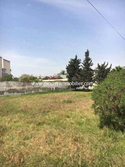 Terrain Ifriqyia Aa La Soukra