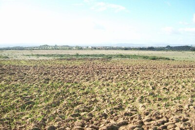 Farm 5000 m² of land