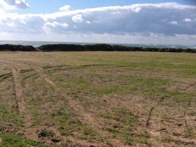 vente TERRAIN EL OLF Bni Khiar