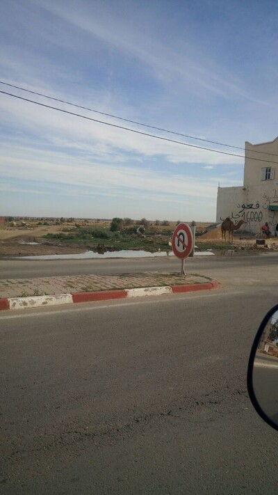 A vendre un Terrain nu