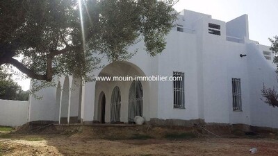 Dar Les olives aa Hammamet