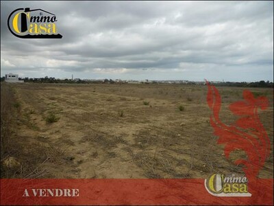 Terrain sur la route de ceinture Kélibia