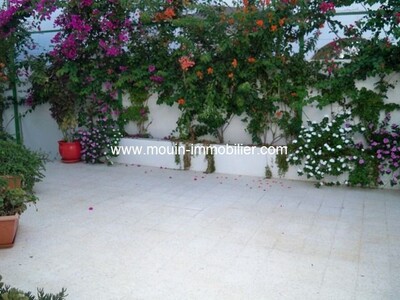 House Aladin Hammamet proch Center