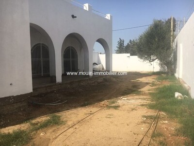 Dar olives Reference has to Hammamet