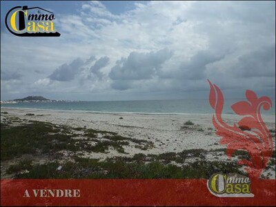 Terrain pied dans l’eau plage Ain Grenez Kélibia