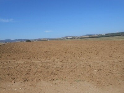 Terrain à vendre proche de yasmine Hammamet