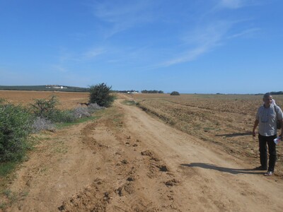 vente terrain proch de hamamet S