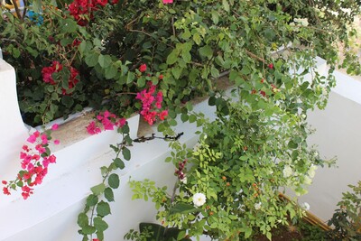 APPARTEMENT FATEN HAMMAMET