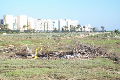 Terrain 8800m² à côté Hammamet Sud++