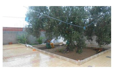 a vendre une maison a hammamet