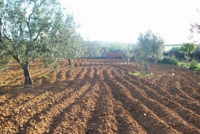 Sale land 1000 or 1500 m² flat land