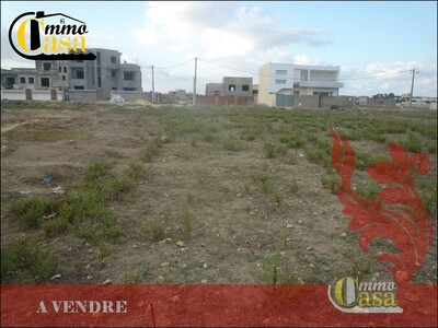 Good opportunity: field in the city shit Kélibia