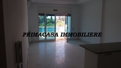 Grand appartement S+1