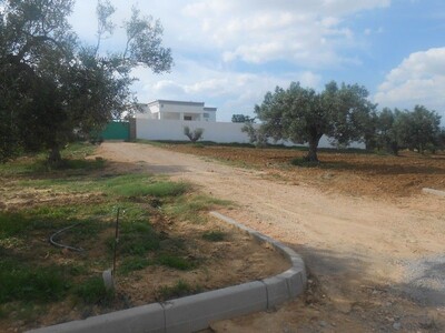 AV lots de terrain 5000m hammamet