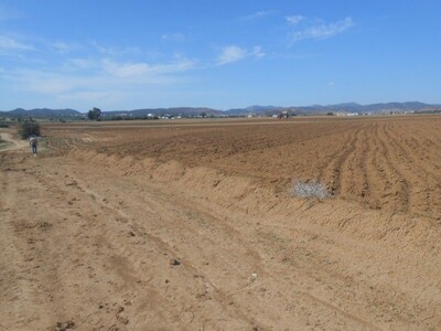 a vendre un terrain 3500 hammamet