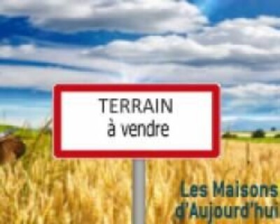 Terrain titré de 37 hectares à sidi khlifa