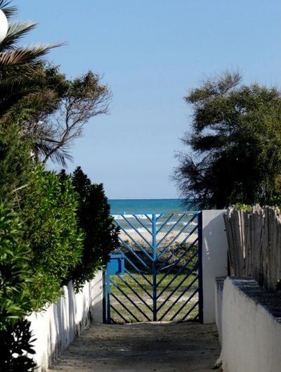 DAR JOYS  Les 2 oueds REF